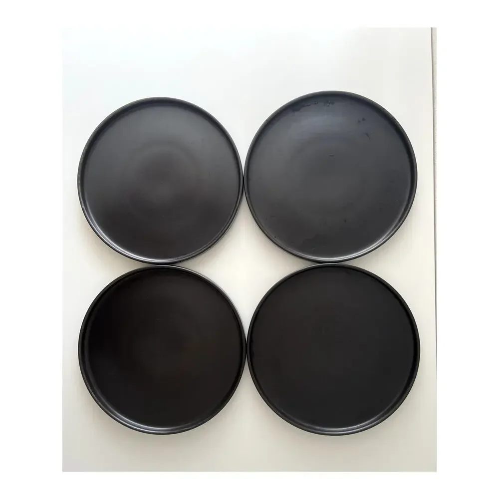 Stone + Lain Stoneware Set Of Four 4 Plates Stackable Dishwasher Microwave Safe